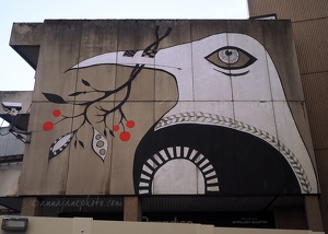 Bird Street Art
