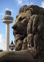 Lion & Radio City Tower