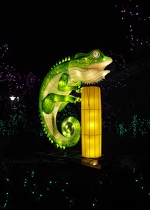 Chameleon Lantern