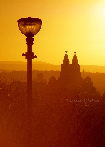 20071123-liver-building-sunset.jpg