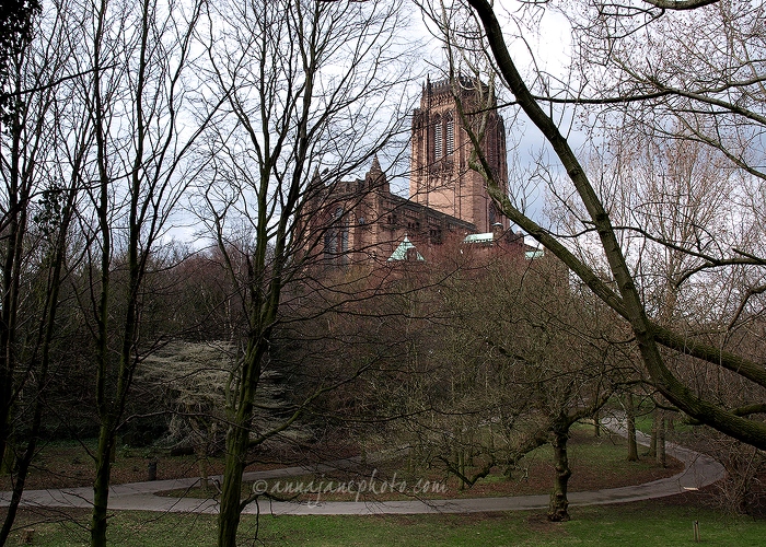 20080316-liverpool-cathedral-and-gardens.jpg