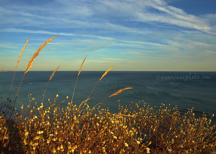 20080614-cliff-and-sea-evening.jpg