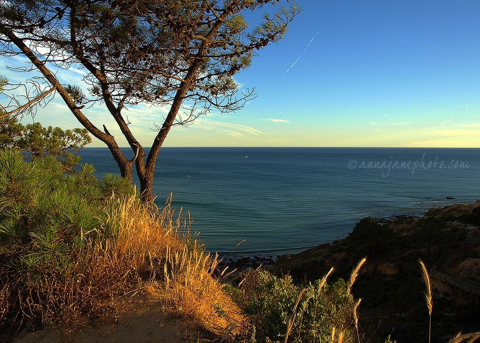 20080614-cliff-view-evening-algarve.jpg