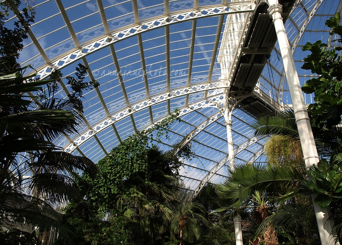 20081024-sefton-park-palm-house-interior.jpg