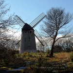 20090207-bidston-windmill.jpg