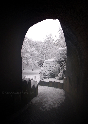 20100105-st-james-gardens-tunnel.jpg