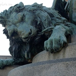 20100711-lion-vittorio-emanuele-ii-statue.jpg