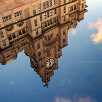 Liver Building Canal Reflection
