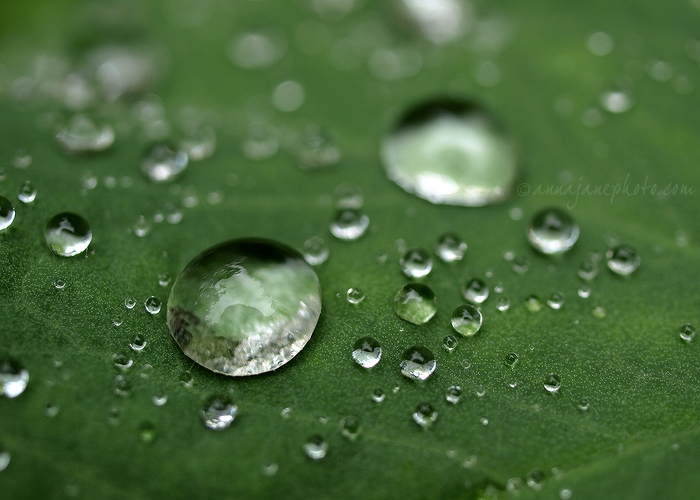 20110806-droplets-1.jpg