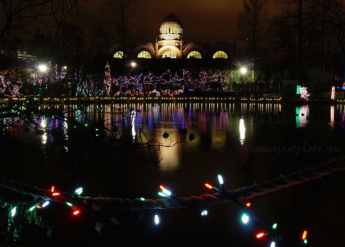 20111223-cincinnati-zoo-festival-of-lights.jpg