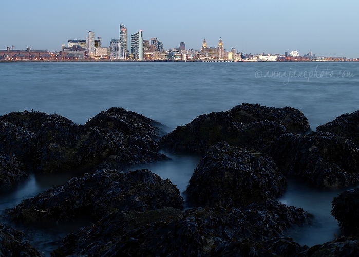 20120130-liverpool-from-egremont-ferry-1.jpg