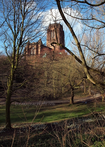 20140216-liverpool-cathedral-1.jpg