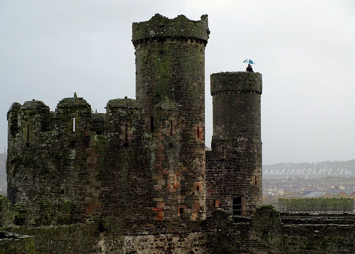 20081109-conwy-castle-umbrella.jpg