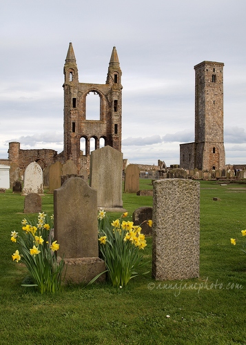 20140411-st-andrews-cathedral-1.jpg