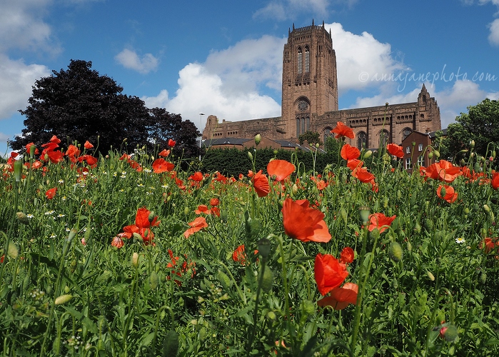 20140713-liverpool-cathedral-and-poppies.jpg