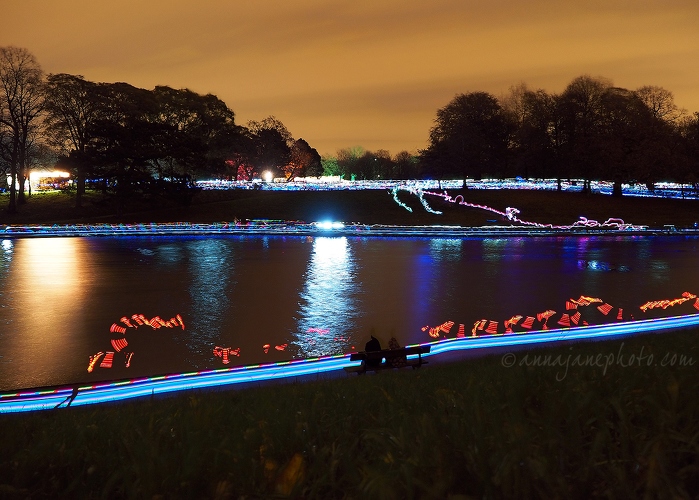 20141101-sefton-park-light-trails-2.jpg