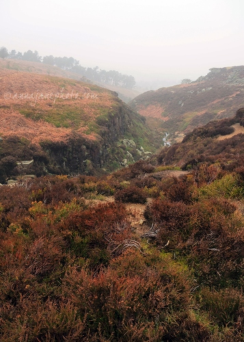 20150215-ilkley-moor.jpg