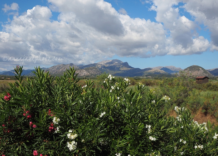 20150816-s'albufereta-nature-reserve-1.jpg