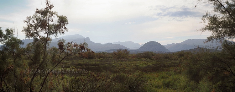 20150817-s'albufereta-nature-reserve-panorama.jpg