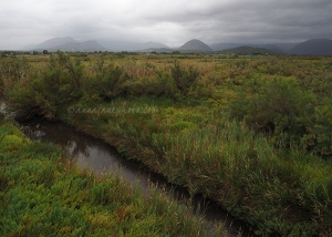 Rainy S'Albufereta Nature Reserve