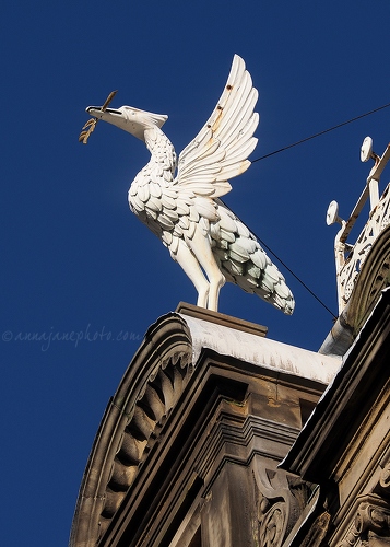 20160210-mersey-chambers-liver-bird.jpg