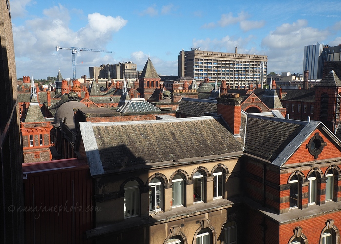 20160929-roofs-of-liverpool-north-campus.jpg