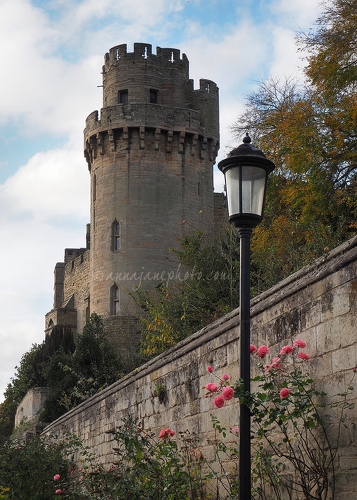 20161105-warwick-castle-and-roses.jpg