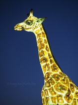Giraffe Lantern