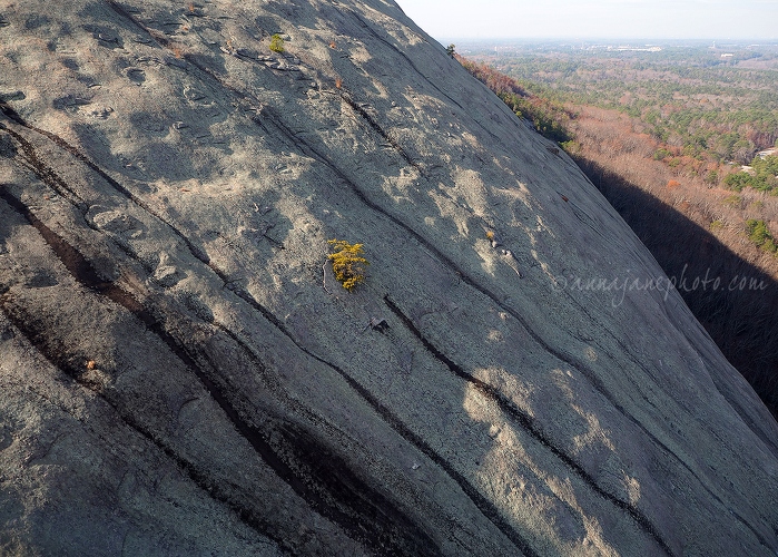 20161227-stone-mountain.jpg