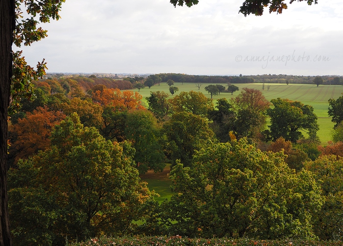 20161105-view-from-warwick-castle-mound.jpg