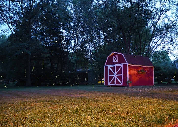 20170628-fireflies.jpg