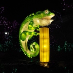 20181223-chameleon-lantern.jpg