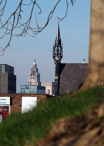 20190215-liver-building-and-st-vincent-de-paul.jpg