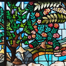 Stained Glass