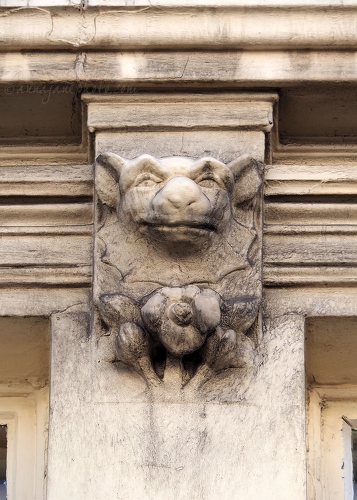 20200407-bold-street-grotesque.jpg