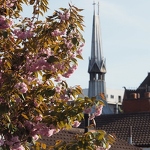 20200414-nordic-church-and-blossom.jpg