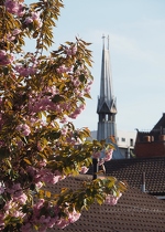 Nordic Church and Blossom