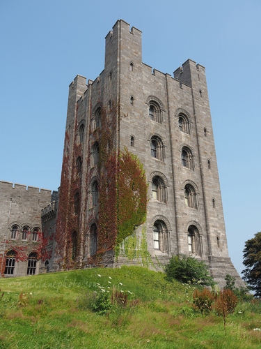 20200813-penrhyn-castle-3.JPG