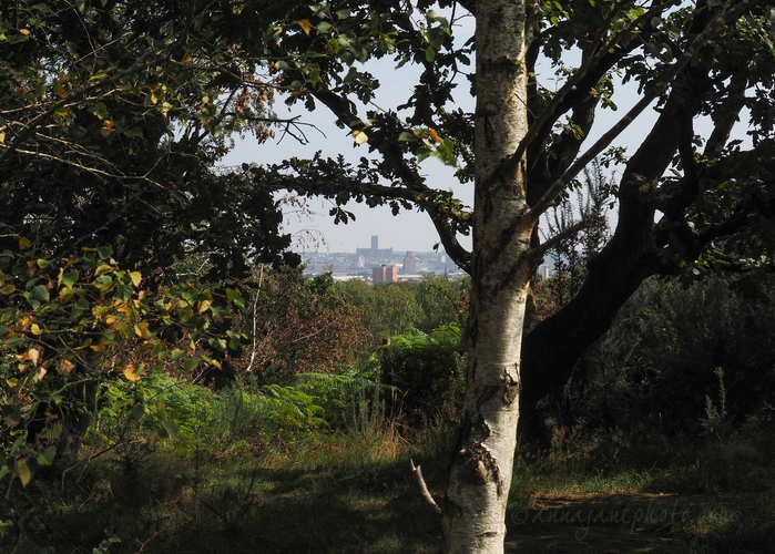 20210905-liverpool-cathedral-from-bidston.jpg