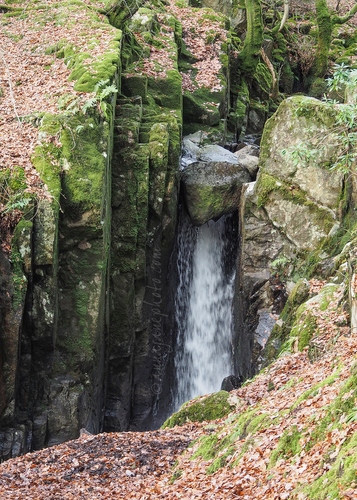 20211114-rydal-beck-waterfall.jpg