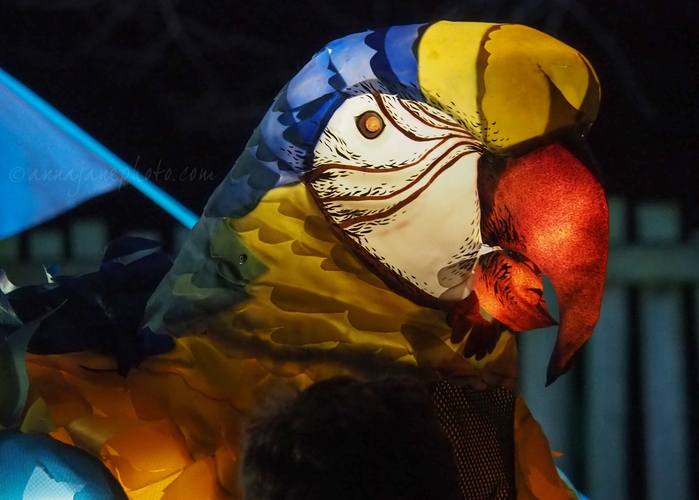 20221220-chester-zoo-lanterns-parrot.jpg