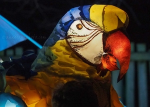 Chester Zoo Lanterns - Parrot