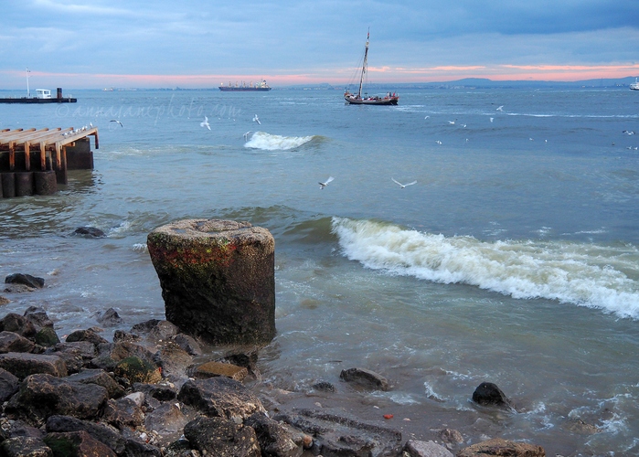 20230106-tagus-boat-sunset.jpg