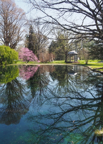 20230412-spring-grove-cemetery-reflections.jpg