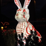 20230121-chinatown-rabbit.jpg