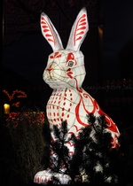 Chinatown Rabbit