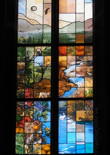 20230621-strasbourg-cathedral-window-5.jpg