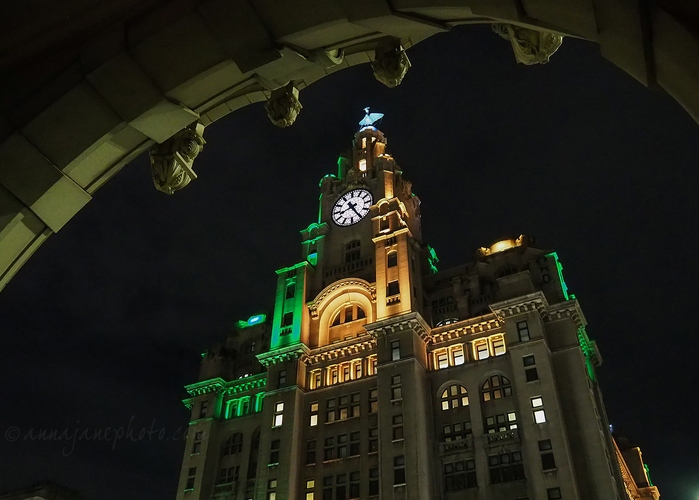 20231029-liver-building.jpg