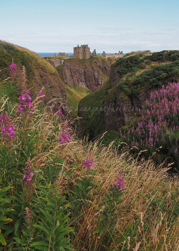 20240806-dunnottar-castle-3.jpg