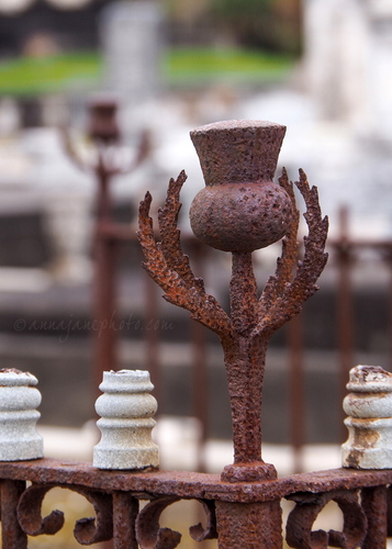 20250109-thistle-ironwork.jpg